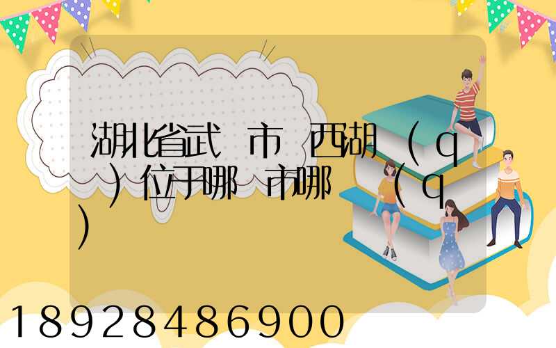 湖北省武漢市東西湖區(qū)位于哪個市哪個區(qū)
