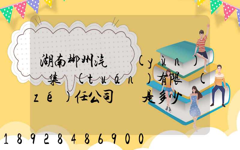 湖南郴州汽車運(yùn)輸集團(tuán)有限責(zé)任公司電話是多少
