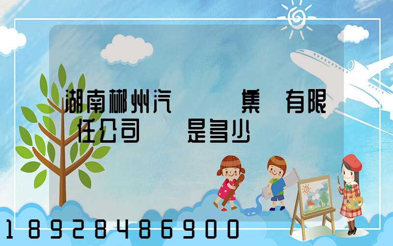 湖南郴州汽車運輸集團有限責任公司電話是多少