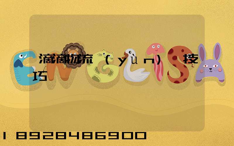 滴滴物流運(yùn)輸技巧視頻