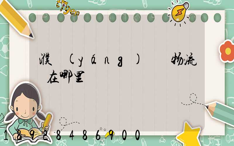 濮陽(yáng)順豐物流園在哪里