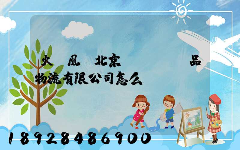 火鳳凰(北京)國際藝術品物流有限公司怎么樣