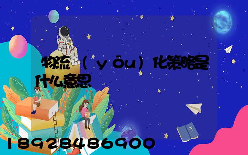 物流優(yōu)化策略是什么意思