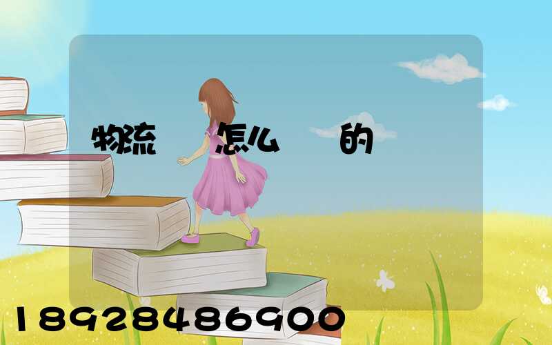 物流設備怎么運輸的