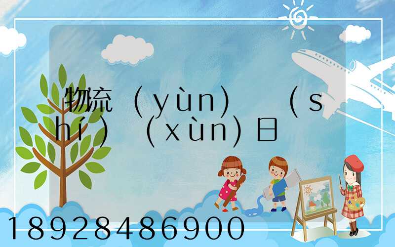 物流運(yùn)輸實(shí)訓(xùn)日劇