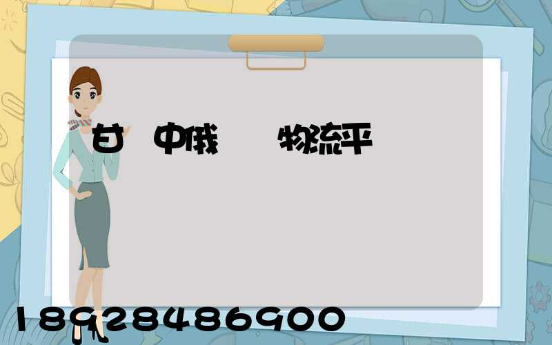 甘肅中俄運輸物流平臺