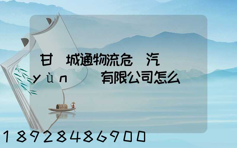 甘肅城通物流危貨汽車運(yùn)輸有限公司怎么樣