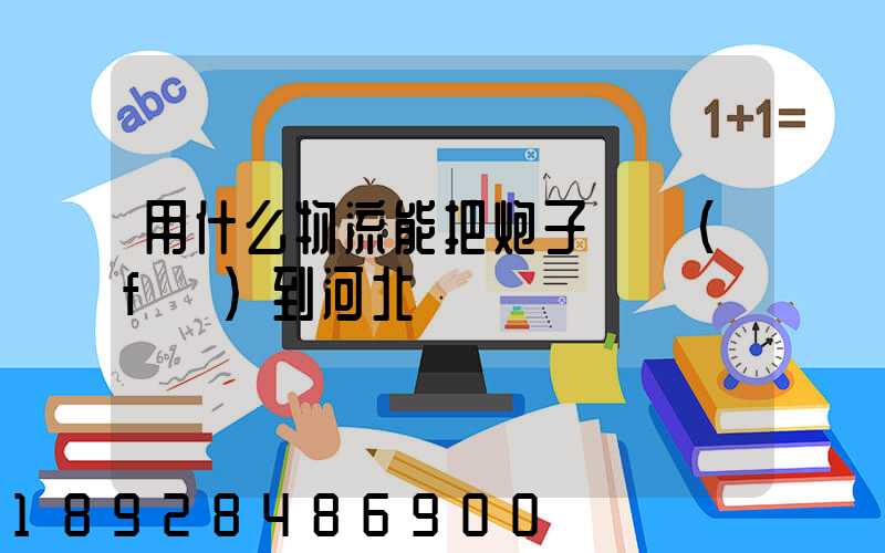 用什么物流能把炮子槍發(fā)到河北