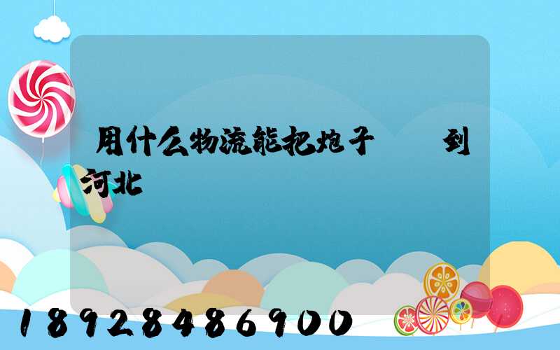 用什么物流能把炮子槍發到河北