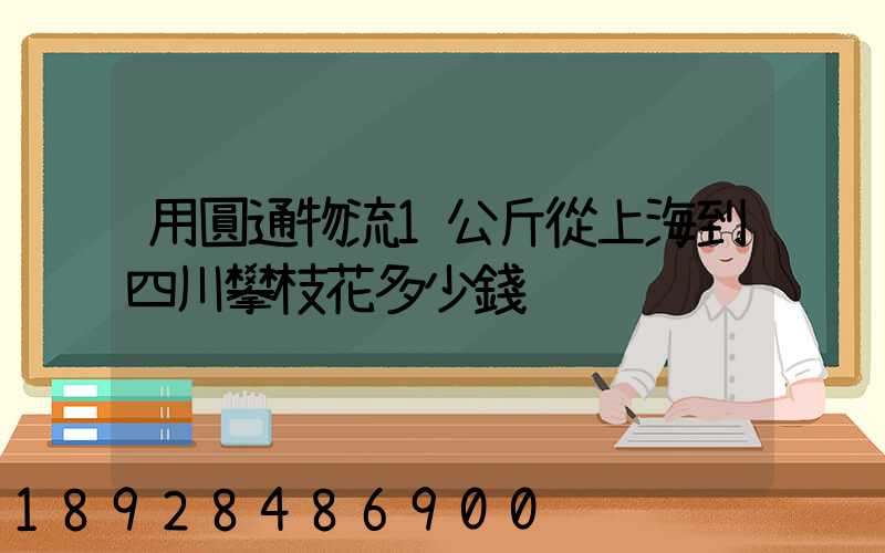 用圓通物流1公斤從上海到四川攀枝花多少錢