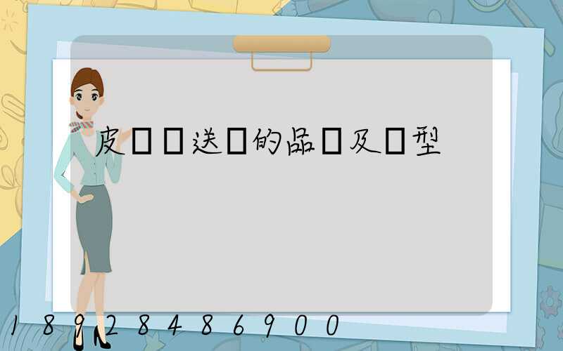 皮帶輸送線的品種及類型