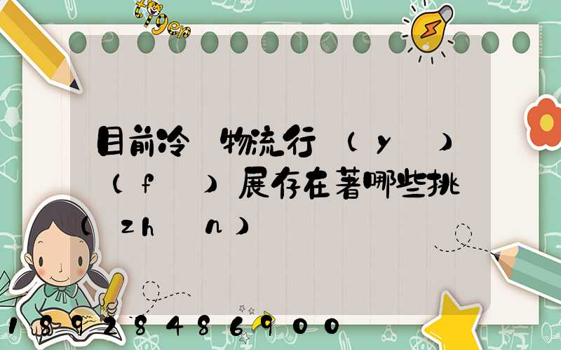 目前冷鏈物流行業(yè)發(fā)展存在著哪些挑戰(zhàn)