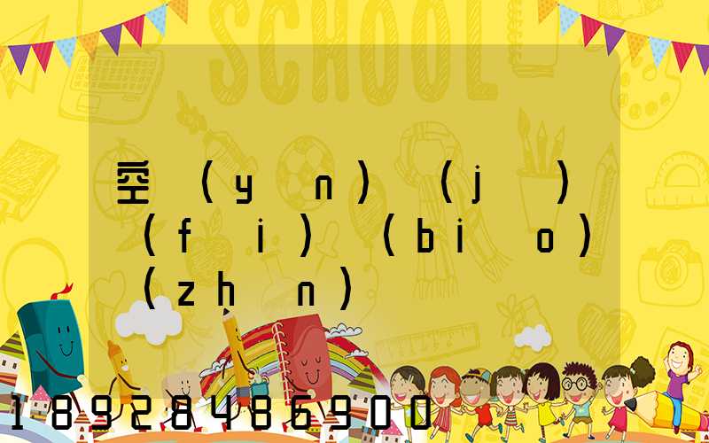 空運(yùn)計(jì)費(fèi)標(biāo)準(zhǔn)