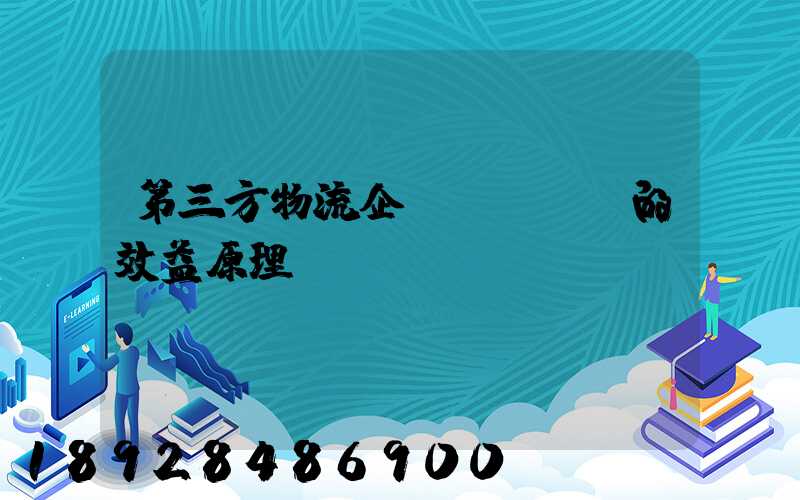 第三方物流企業(yè)的效益原理