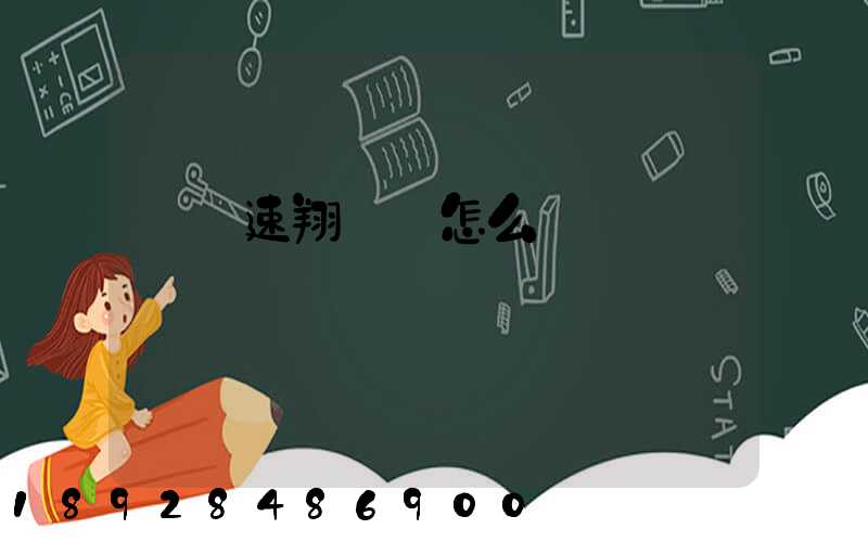 紹興速翔車隊怎么樣