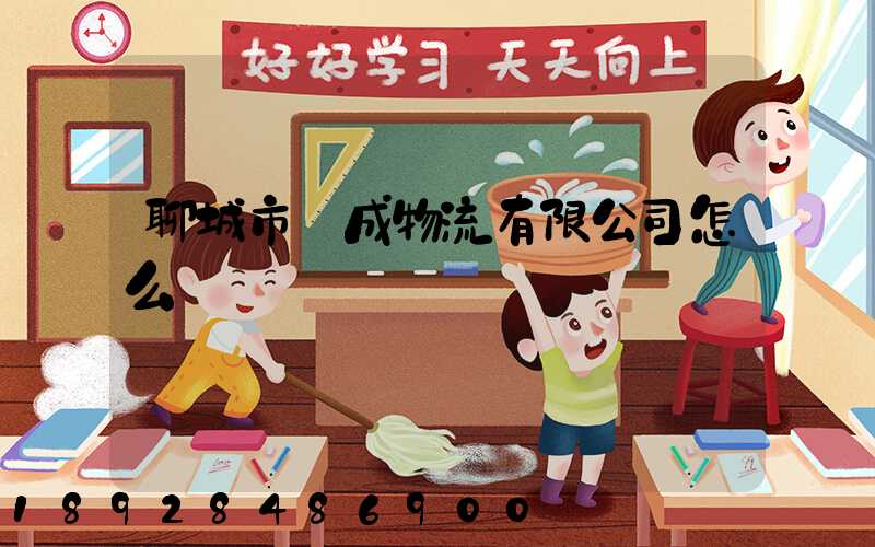 聊城市龍成物流有限公司怎么樣