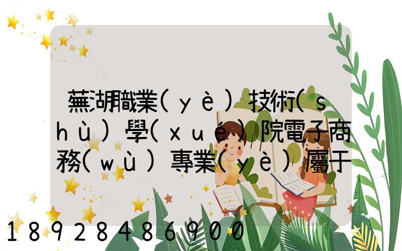 蕪湖職業(yè)技術(shù)學(xué)院電子商務(wù)專業(yè)屬于那個(gè)系