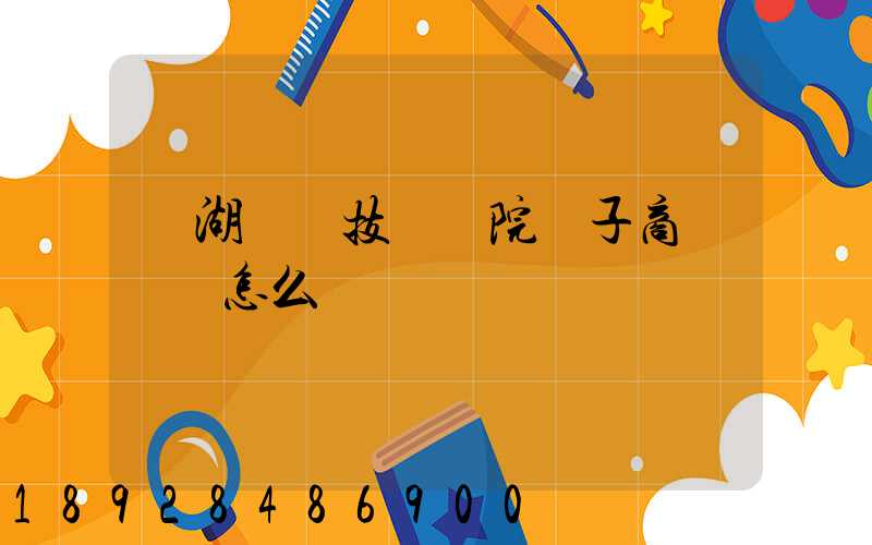 蕪湖職業技術學院電子商務專業怎么樣