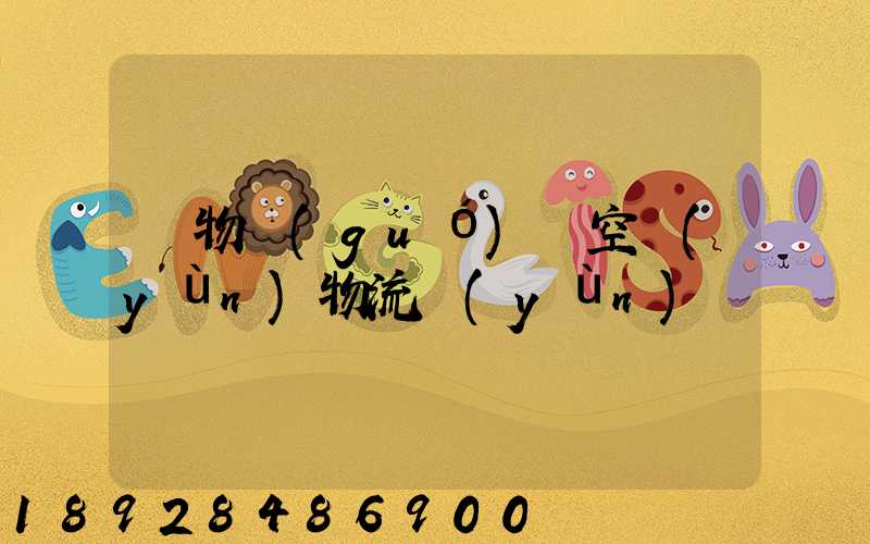 貨物國(guó)際空運(yùn)物流運(yùn)輸