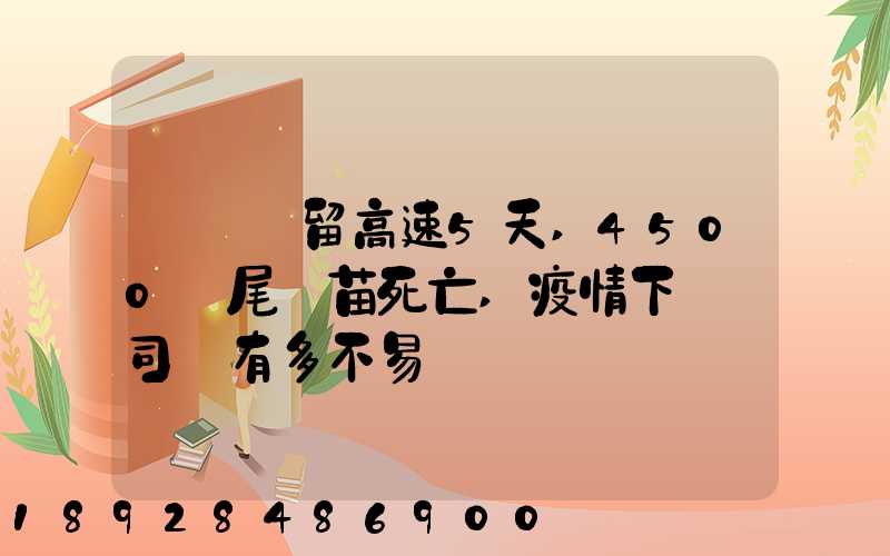 貨車滯留高速5天,4500萬尾魚苗死亡,疫情下貨車司機有多不易