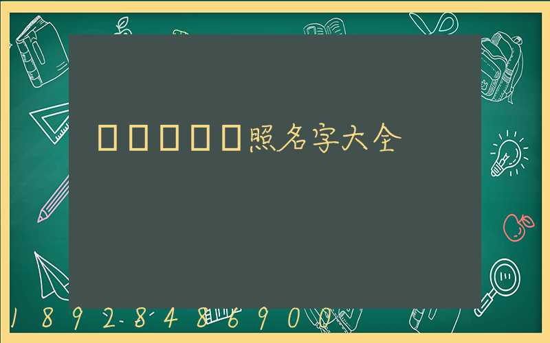 運輸營業執照名字大全