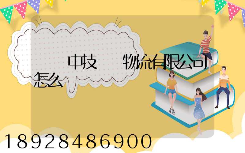 遼寧中技國際物流有限公司怎么樣