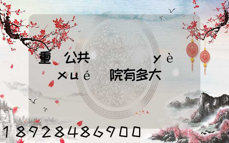 重慶公共運輸職業(yè)學(xué)院有多大