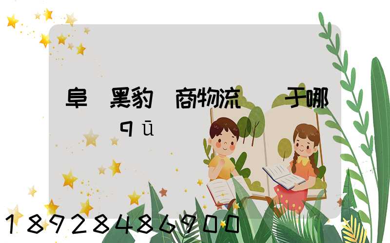 阜陽黑豹電商物流園屬于哪個區(qū)