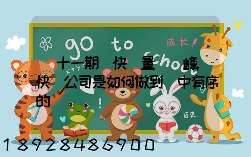 雙十一期間快遞量達頂峰,快遞公司是如何做到穩中有序的