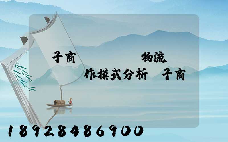 電子商務(wù)物流運(yùn)作模式分析電子商務(wù)倉(cāng)儲(chǔ)物流模式分析