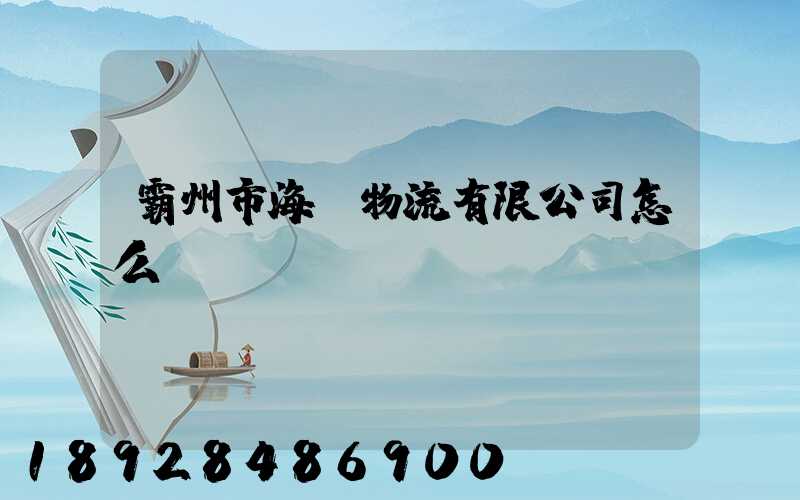 霸州市海潤物流有限公司怎么樣