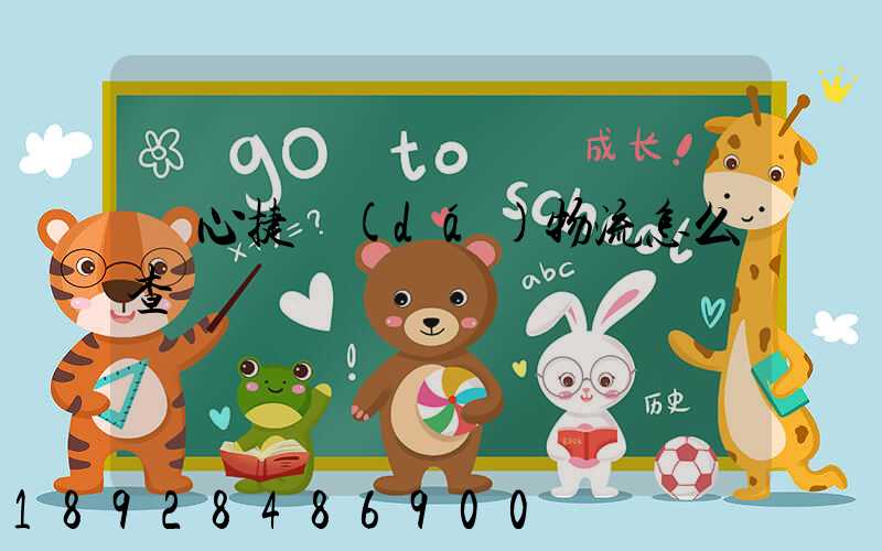 順心捷達(dá)物流怎么查