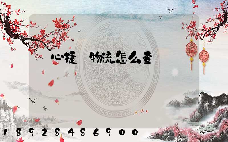 順心捷達物流怎么查單號