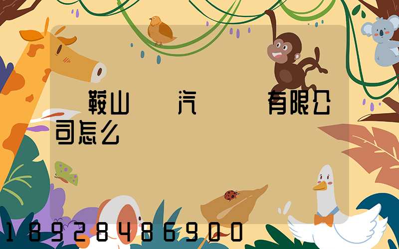 馬鞍山榮順汽車運輸有限公司怎么樣