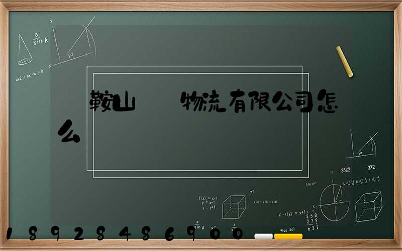 馬鞍山鐵獅物流有限公司怎么樣