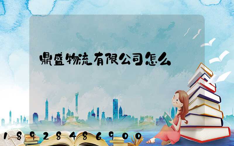 鼎盛物流有限公司怎么樣